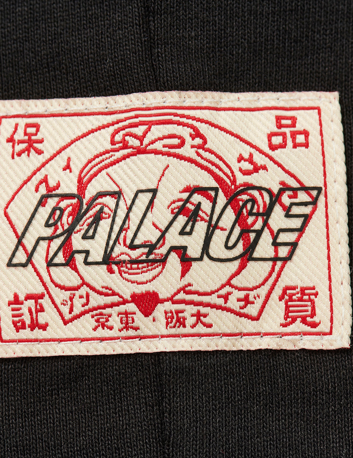 PALACE EVISU コントラストロゴプリント レギュラーフィット Tシャツ